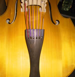 Six String Double Bass
