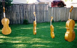 Instruments Drying in the Sun